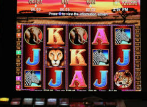 旺财28APP桌面版客户端