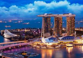 旺财28APP客户端